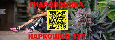 каннабис Гай