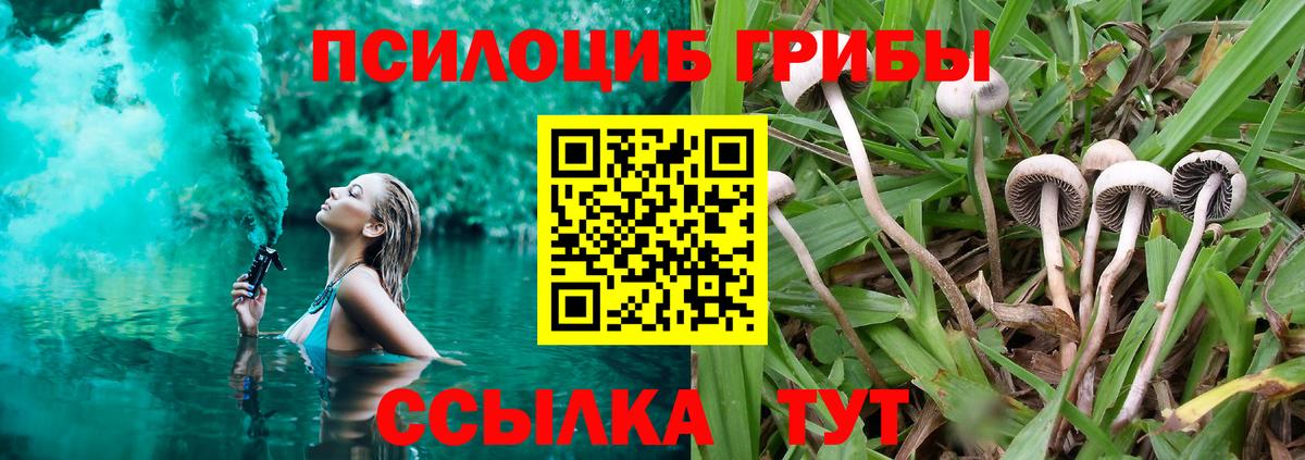 Псилоцибиновые грибы Magic Shrooms Новочеркасск